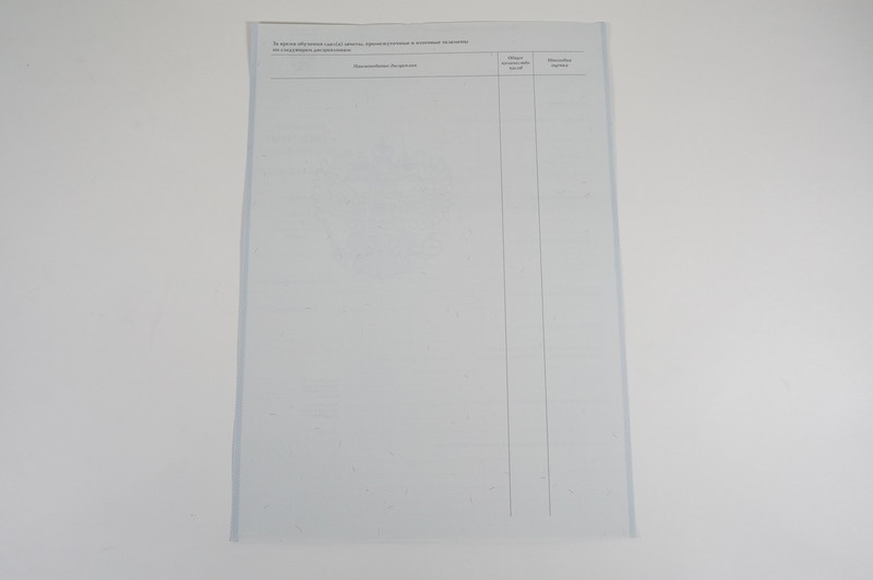 Диплом о начальном образовании 2007-2009 годов в Ангарске Диплом о начальном образовании 2007-2009 годов в Ангарске